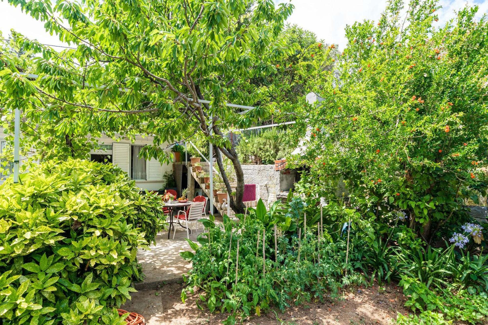 Apartments Zarac Dubrovnik Rom bilde